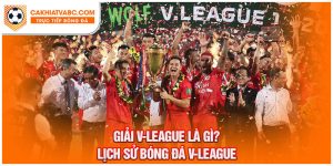 Tìm hiểu giải vô địch quốc gia Việt Nam V-League