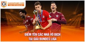 Giải Bundesliga là gì - Giải đấu chuyên nghiệp dành cho các câu lạc bộ của Đức